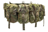 Special Forces Airborne Webbing Belt w/ Cobra Buckle (4 Pocket, MTP)